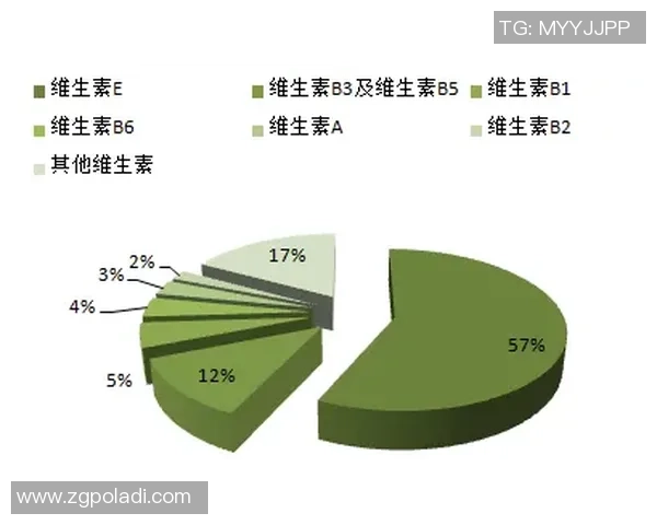 广州排球队个人能力分析与表现评估研究报告